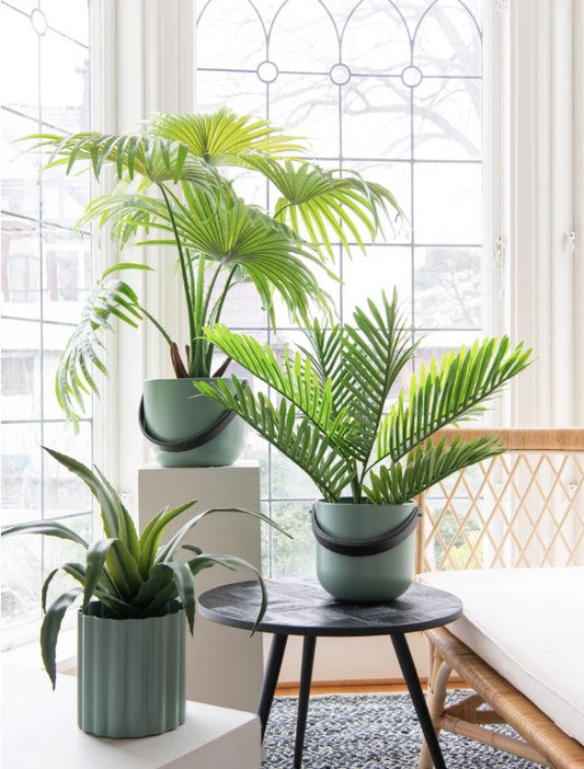 Lola grön kruka stor